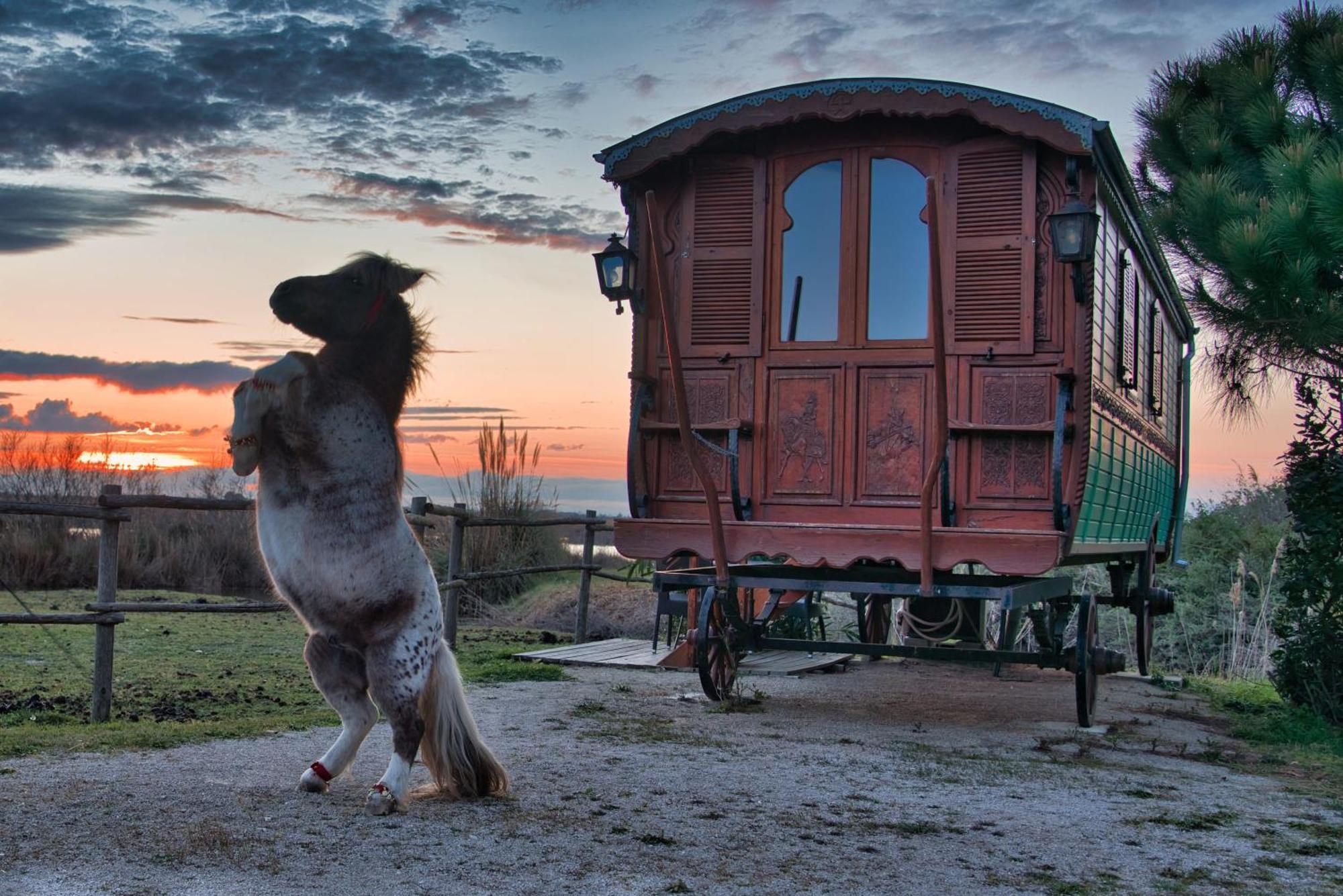 Готель Mas De Calabrun Сент-Марі-де-ла-Мер Екстер'єр фото